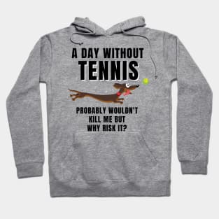 A Day Without Tennis Hoodie